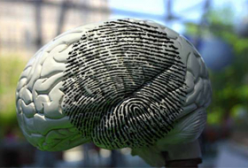 Scans show people have a brain `fingerprint,`  researchers say