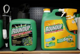 European scientific advisers say glyphosate unlikely to cause cancer