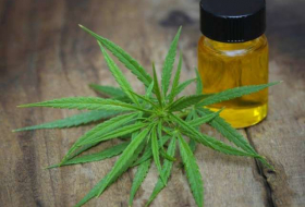 Cannabis extract could provide ‘new class of treatment’ for psychosis