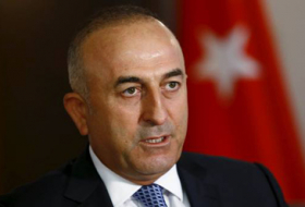 Turkish FM hits back at `foreign fighters` critics