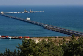 8 million 126 thousand 315 tons of Azerbaijani oil exported from Ceyhan Port in 2017