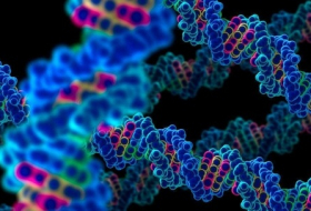 Scientists find new way to repair DNA that may cure Alzheimer