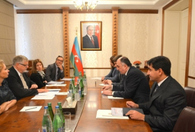 Azerbaijani FM informs EU special rep about Karabakh talks