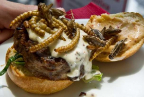 Eat insects and fake meat to cut impact of livestock on the planet – study