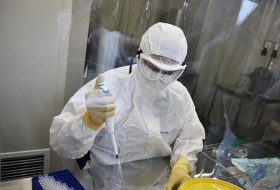 Global health experts accuse WHO of `egregious failure` on Ebola