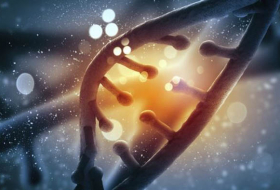 Genetically modified embryos `essential`, says report