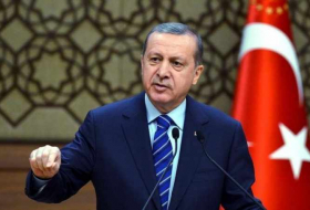 Erdogan slams 'political' Council of Europe decision