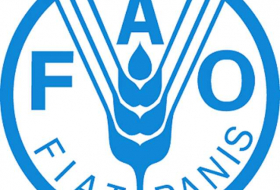 FAO official hails China`s role in supporting food security