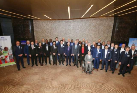 Baku hosts FIFA Executive Football Summit