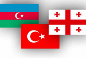 Turkey creating e-platform for trade with Azerbaijani, Georgian SMEs