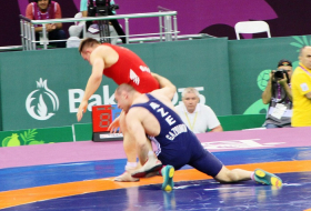 Azerbaijani wrestler wins silver at Rio 2016