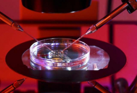 Gene editing breakthrough could destroy deadliest diseases