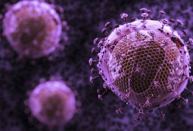 Hunt for HIV cure turns to cancer drugs