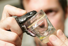 Scientists unravel Snake venom mystery