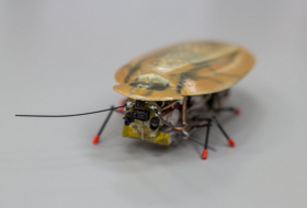 RoboRoach: Russian Scientists Create Cockroach Robot Spy - VIDEO