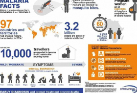 World Malaria Day 2017: What is malaria, symptoms and what today is all about
