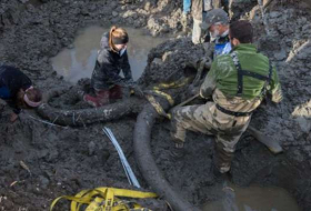 Michigan farmers discover woolly mammoth skeleton - PHOTOS