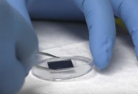 Breakthrough microchip can 'regrow organs and heal wounds'