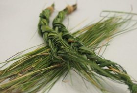 Sweet-smelling secrets of mosquito-repellent grass