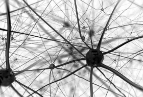 Scientists just found evidence that neurons can communicate in a way we never anticipated 