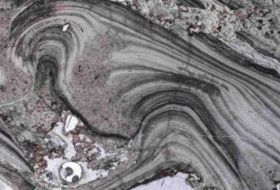 Scientists may have discovered the oldest evidence of life on land