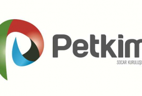 Pledge removed from Petkim shares