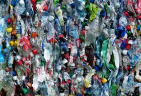 4 things we really need to do to fight global plastic crisis