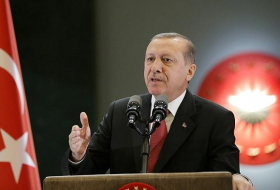 Turkey disapproves of sanctions on Qatar: Erdogan