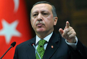 Erdogan calls state of emergency Turkey’s internal affair