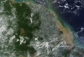 Huge coral reef discovered at Amazon river mouth