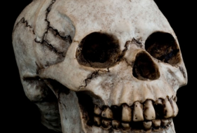 Germany to investigate 1,000 skulls taken from African colonies for 'racial research'