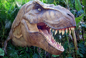  100 million year old dinosaur fossils found in Australia