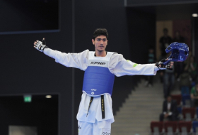 Azerbaijani taekwondo fighter wins silver at 29th Summer Universiade