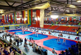 Azerbaijani taekwondo fighters contest European medals