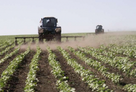 Azerbaijan’s agriculture among attractive spheres for investment