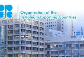 OPEC to invite non-cartel countries to Vienna