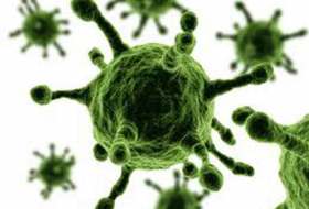 Ancient Virus May Cause Crippling Disease ALS, Study Finds