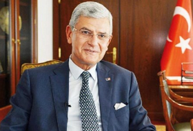 Turkey`s EU Minister disapproves of remarks by Mahcupyan over 1915