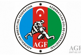 Azerbaijani wrestlers won 294 medals in 2017
