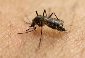 U.S. Zika vaccine begins second phase of testing